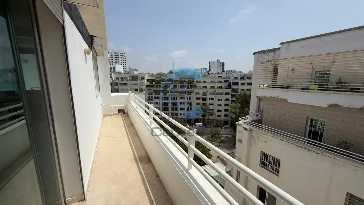 MAGNIFICENT PALM TREE APARTMENT RENTAL - detail.photo 11