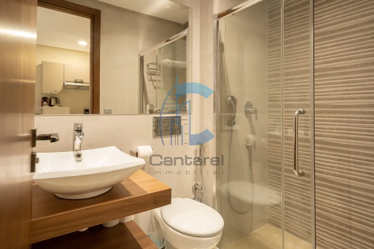 Appartement studio meublé 46 m² avec parking proche gare Oasis - Photo 9