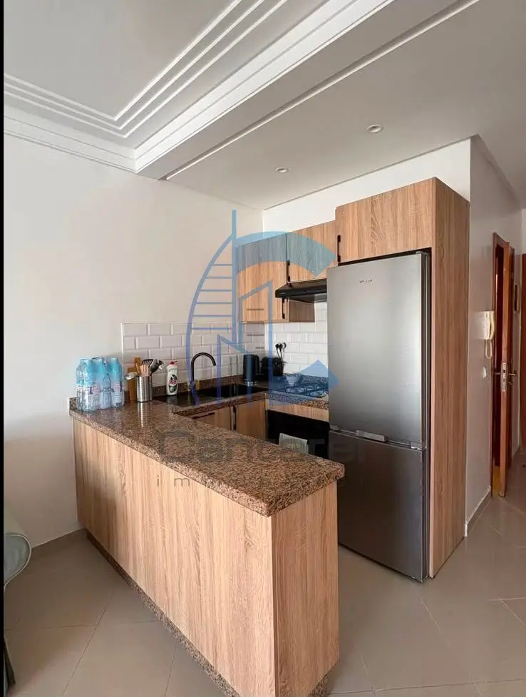 Appartement 1 chambre rénové avec terrasse de 20 m² à Bourgogne Ouest - صورة 5