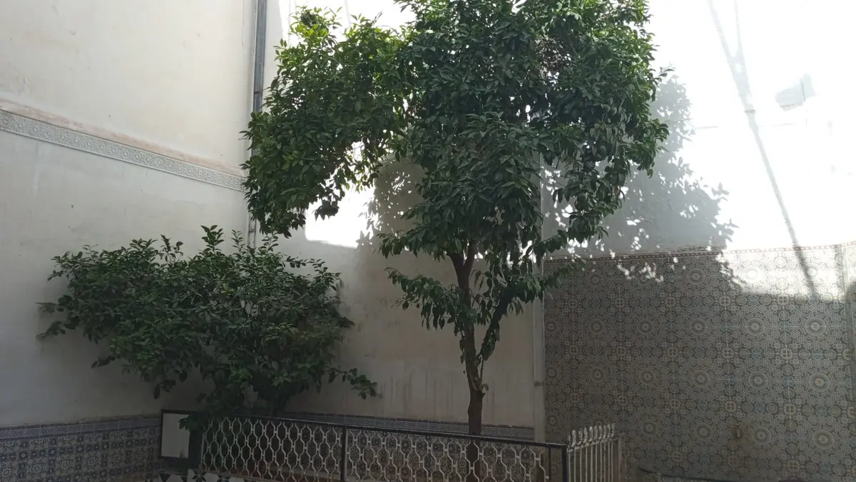 Maison 4 chambres à vendre à Sidi Boujida — 1 800 000 DH - Photo 4