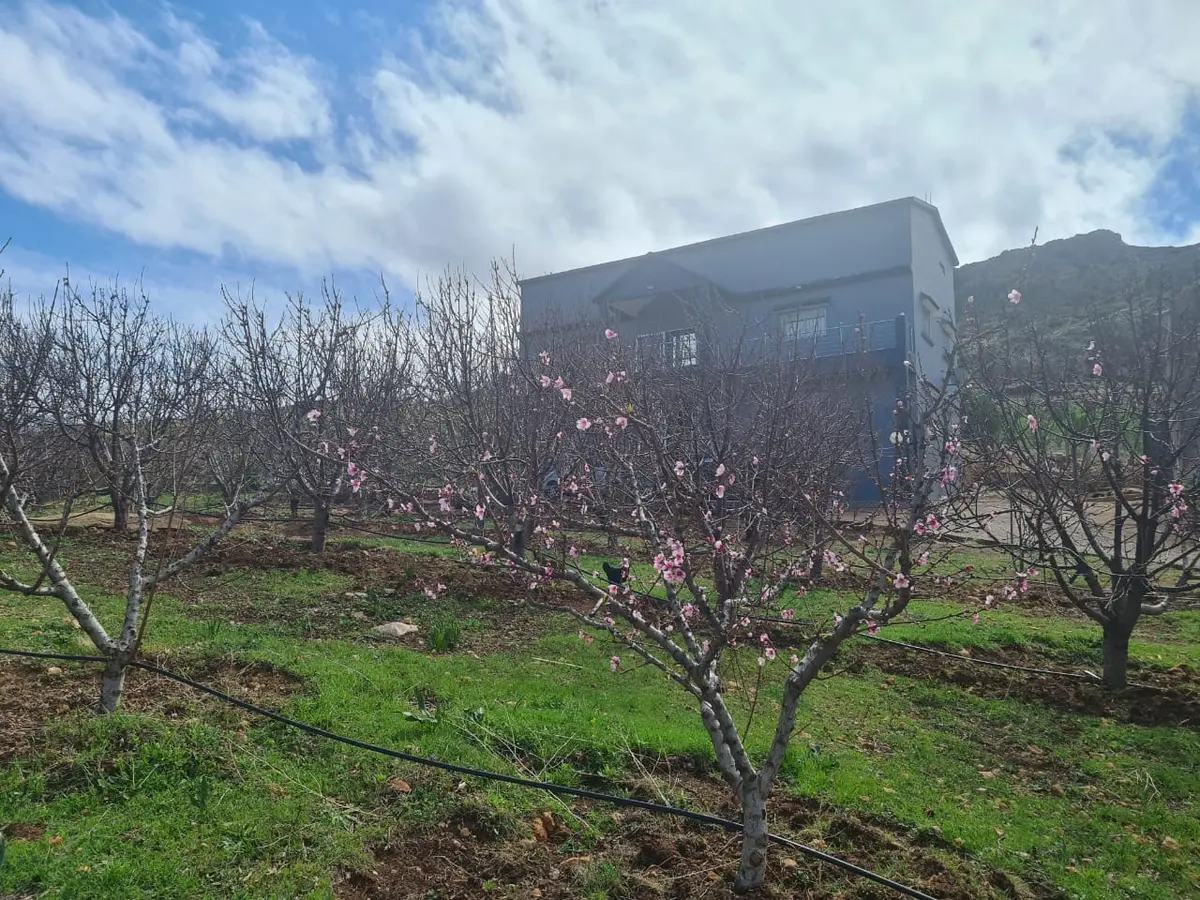 Ferme à vendre à Aïn Chifa — 2 900 000 DH - Photo 1