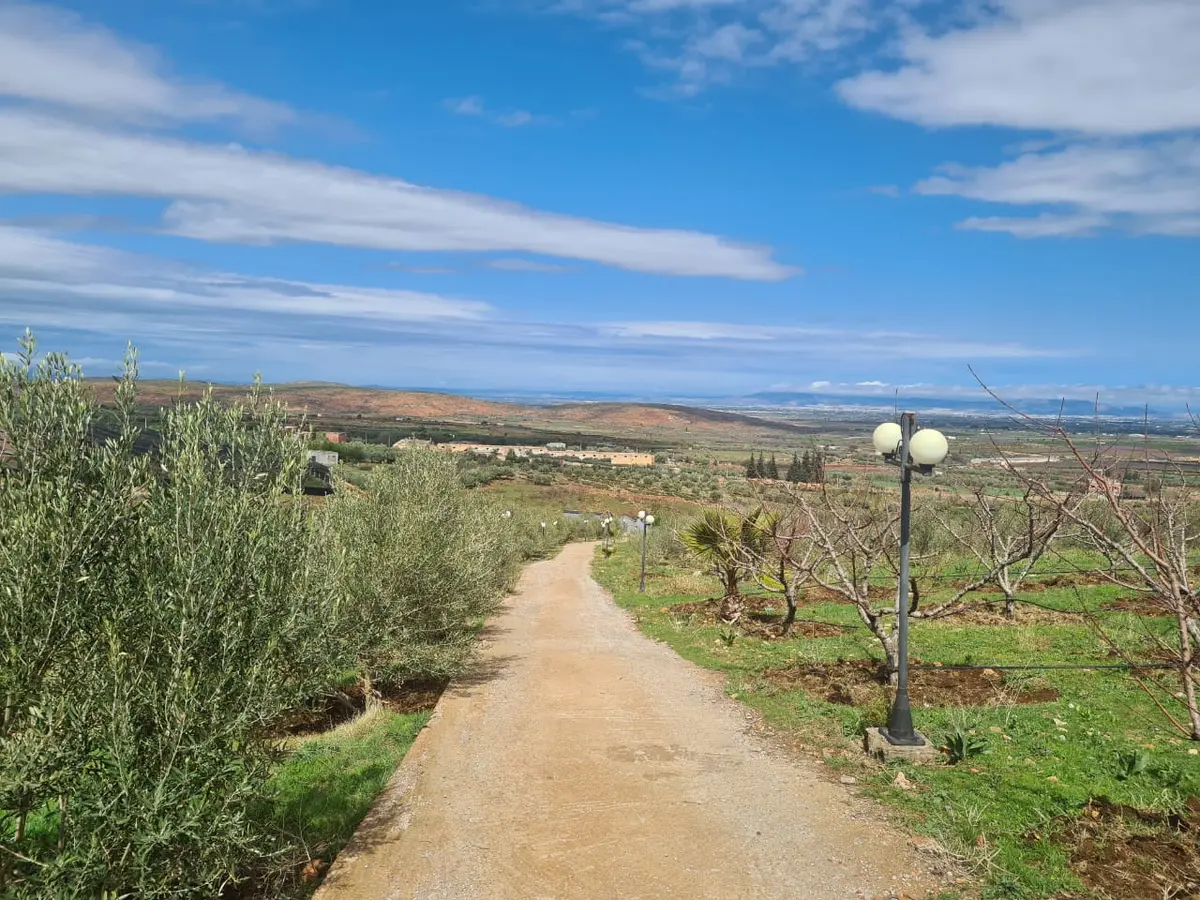 Ferme à vendre à Aïn Chifa — 2 900 000 DH - Photo 2