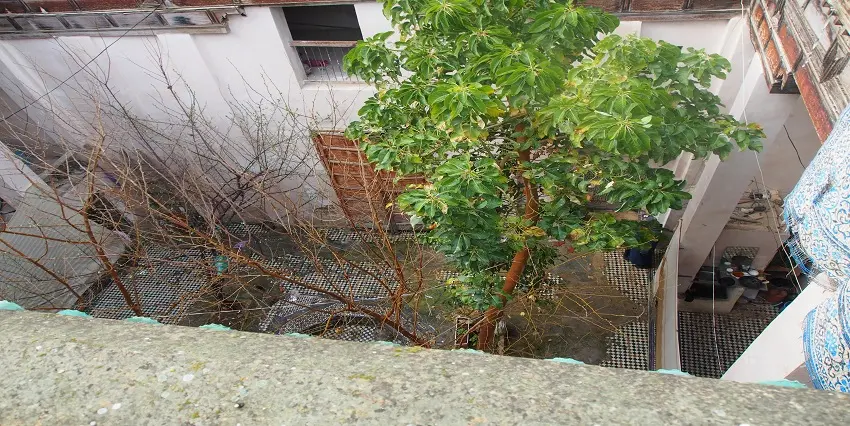 Maison 5 chambres à vendre à Fès — 1 600 000 DH - صورة 3
