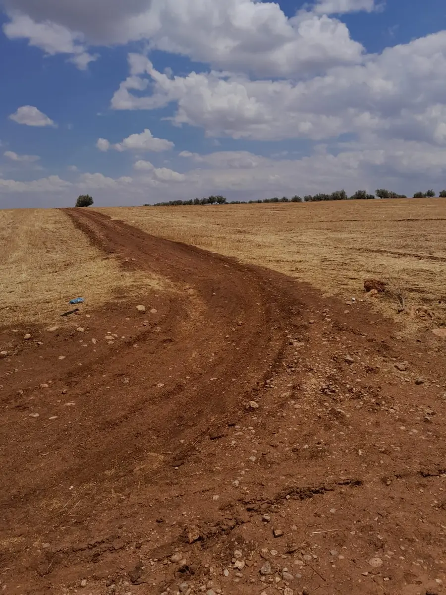 Ferme à vendre à Route d'Imouzzer — 10 000 000 DH - صورة 3