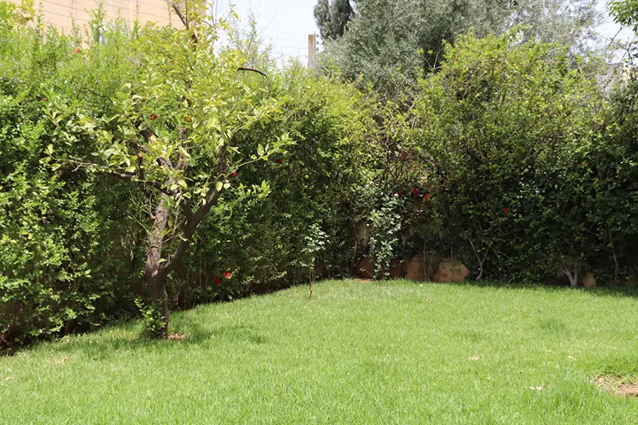 Villa 6 chambres à vendre à Route Aïn Chkef — 3 000 000 DH - Photo 3
