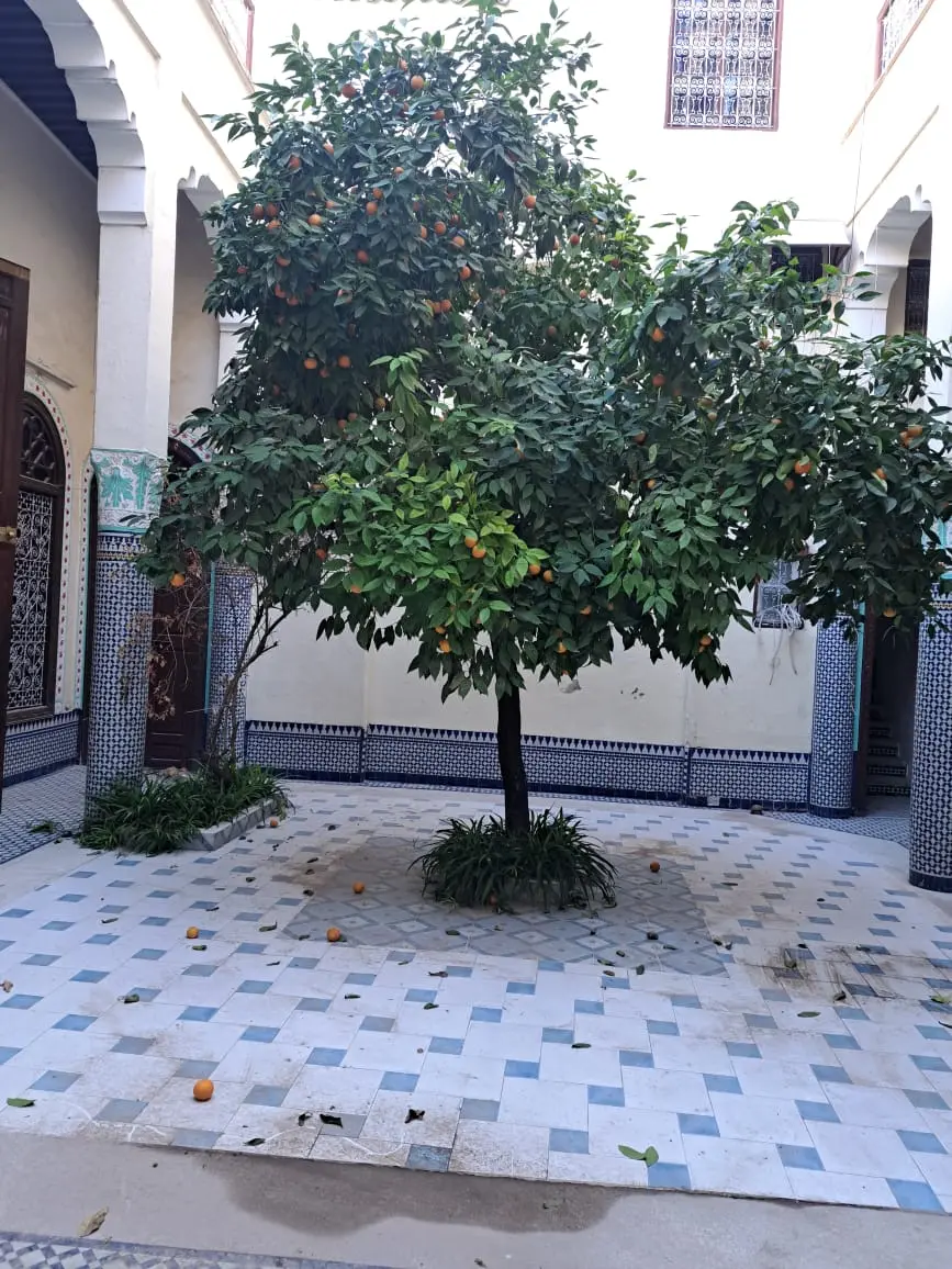 Maison 3 chambres à vendre à Fès — 1 800 000 DH - Photo 4