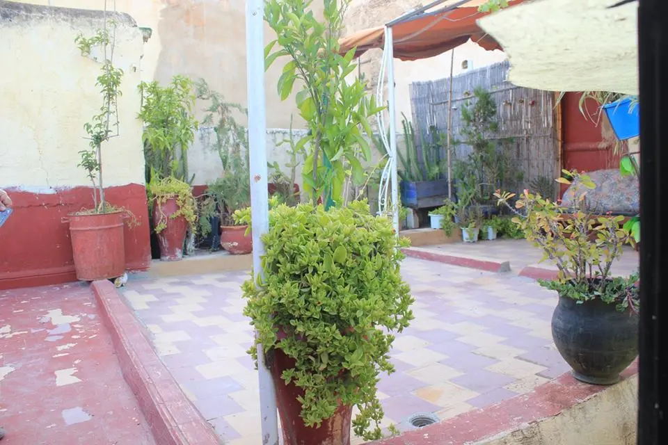 Maison 4 chambres à vendre à Fès — 800 000 DH - Photo 10