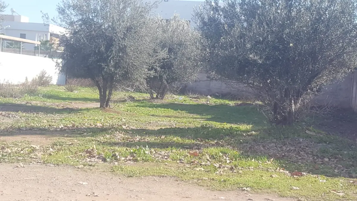 Ferme à vendre à Route de Meknès — 3 200 000 DH - Photo 1
