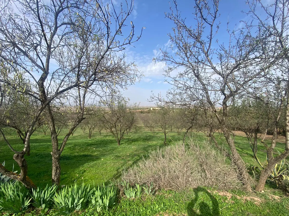 Ferme à vendre à Bhalil — 2 200 000 DH - Photo 2