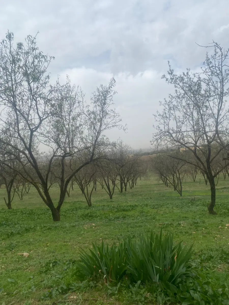 Ferme à vendre à Bhalil — 2 200 000 DH - Photo 5