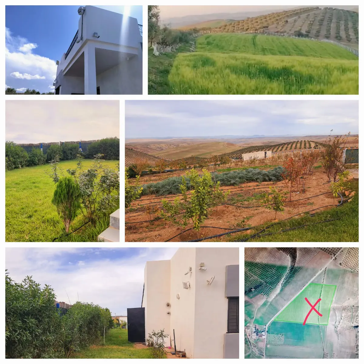 Ferme à vendre à Route de Sefrou — 2 400 000 DH - Photo 4