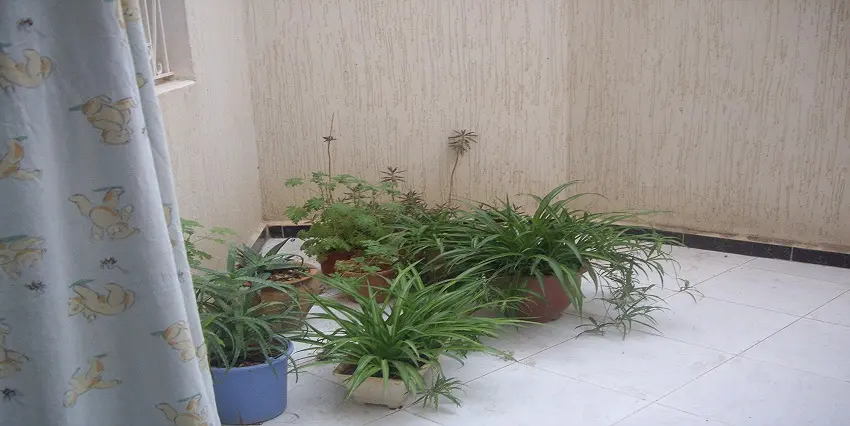 Appartement 3 chambres à vendre à Fès — 800 000 DH - صورة 7