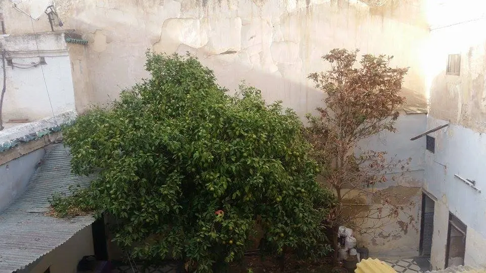 Maison 7 chambres à vendre à Fès — 1 800 000 DH - صورة 6