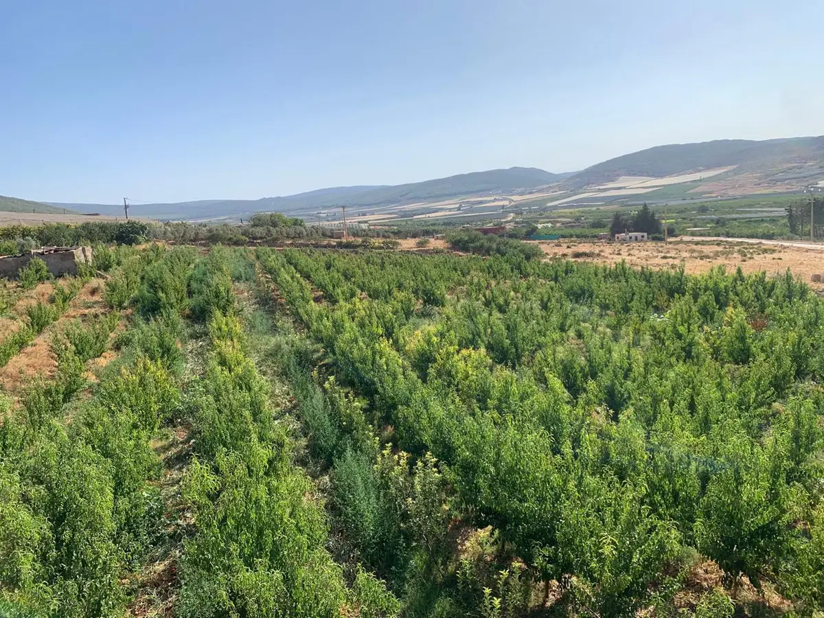 Ferme à vendre à Imouzzer-Kendar — 2 400 000 DH - صورة 3