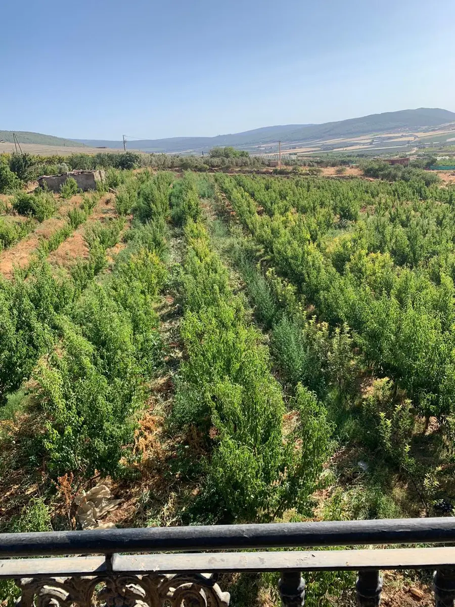 Ferme à vendre à Imouzzer-Kendar — 2 400 000 DH - صورة 5