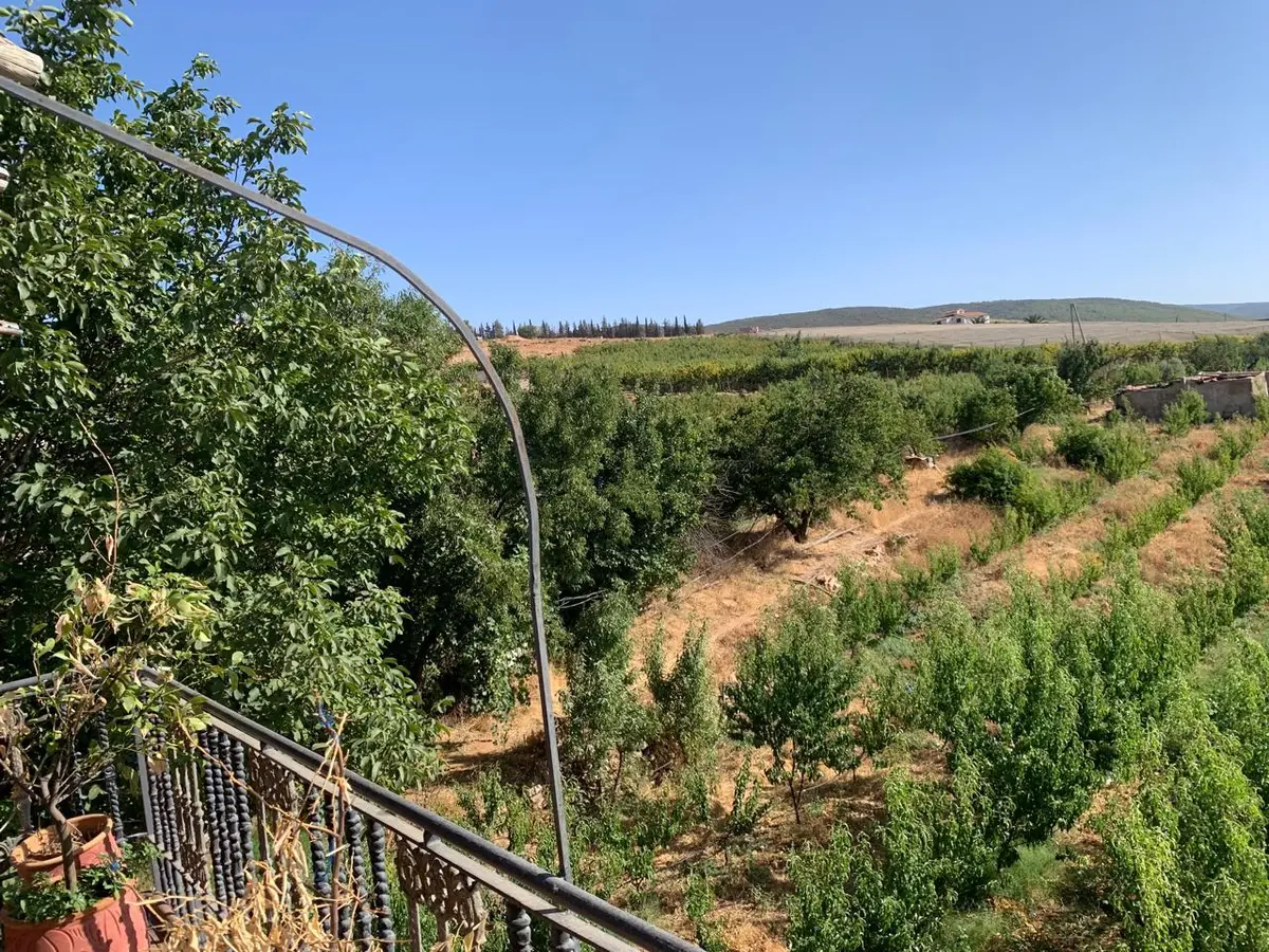 Ferme à vendre à Imouzzer-Kendar — 2 400 000 DH - صورة 6