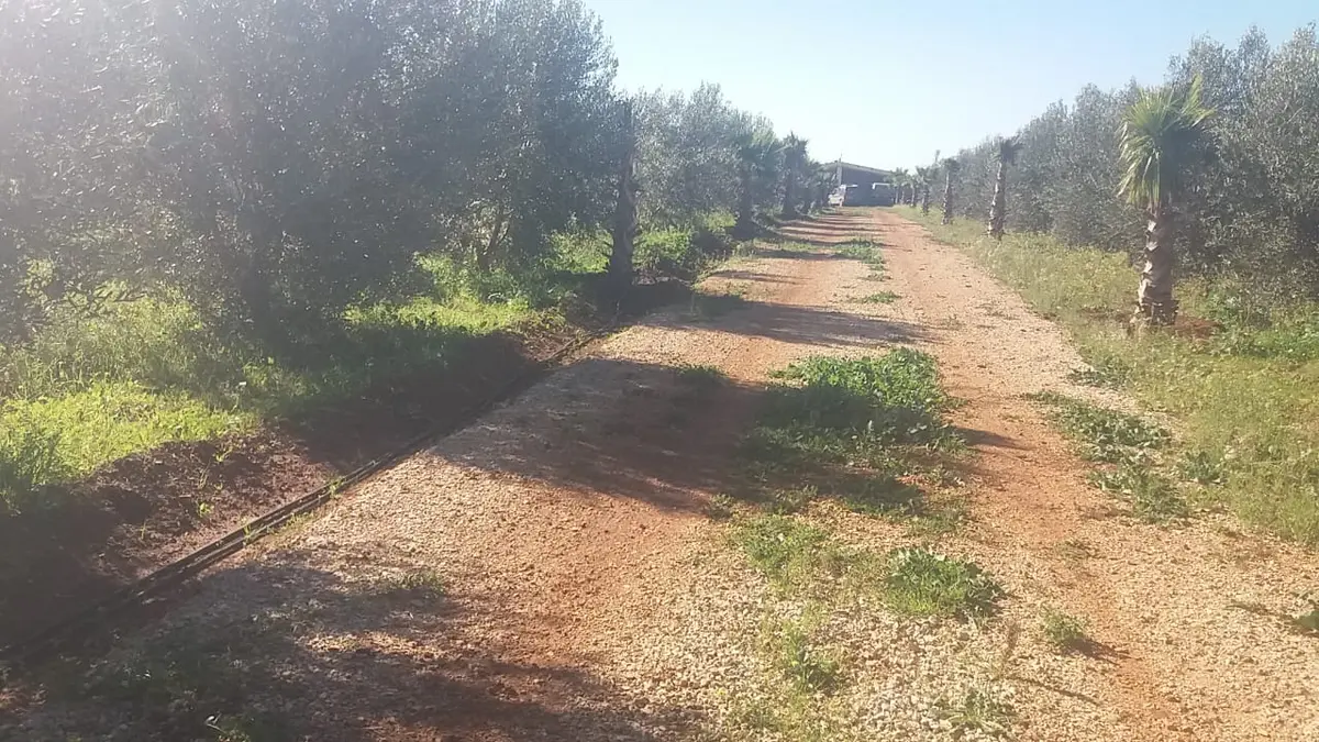 Ferme à vendre à Aïn Lbida — 18 500 000 DH - Photo 1