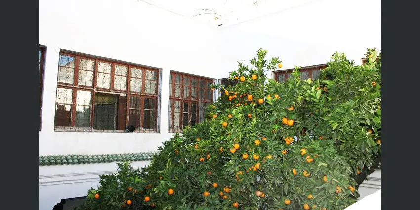 Maison 13 chambres à vendre à Fès — 7 000 000 DH - Photo 2