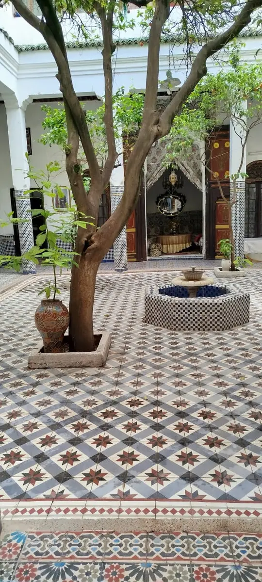 Maison 13 chambres à vendre à Fès — 7 000 000 DH - Photo 20