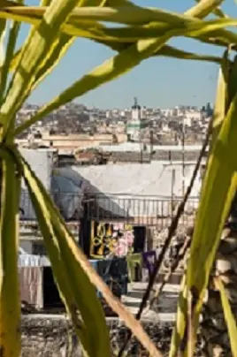 Maison 7 chambres à vendre à Fès — 4 000 000 DH - Photo 6