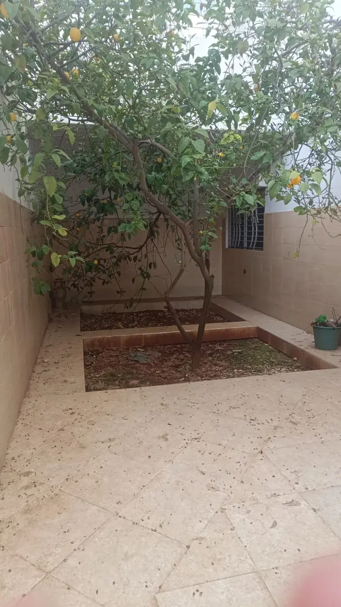 Villa 8 chambres à vendre à Route d'Imouzzer — 2 650 000 DH - Photo 3