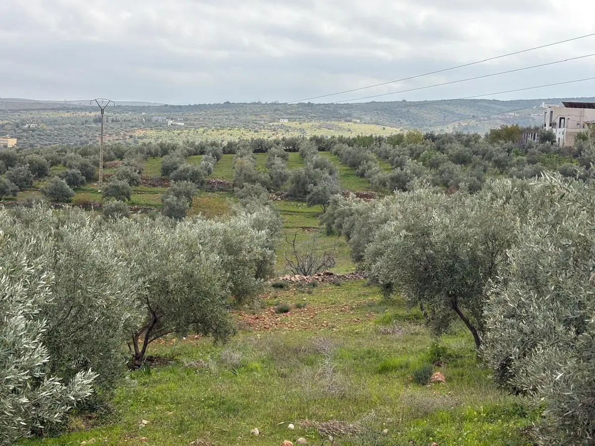 Ferme à vendre à Sefrou — 4 500 000 DH - Photo 15