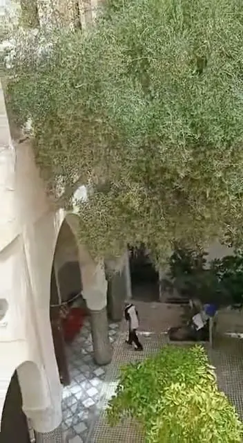 Maison 3 chambres à vendre à Seffah — 1 400 000 DH - صورة 8
