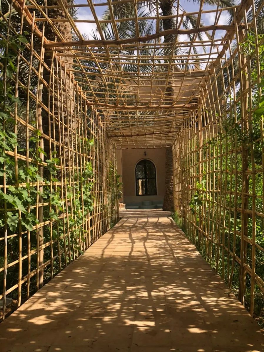 Maison d'hôtes 5 chambres à vendre à Errachidia — 3 200 000 DH - صورة 3