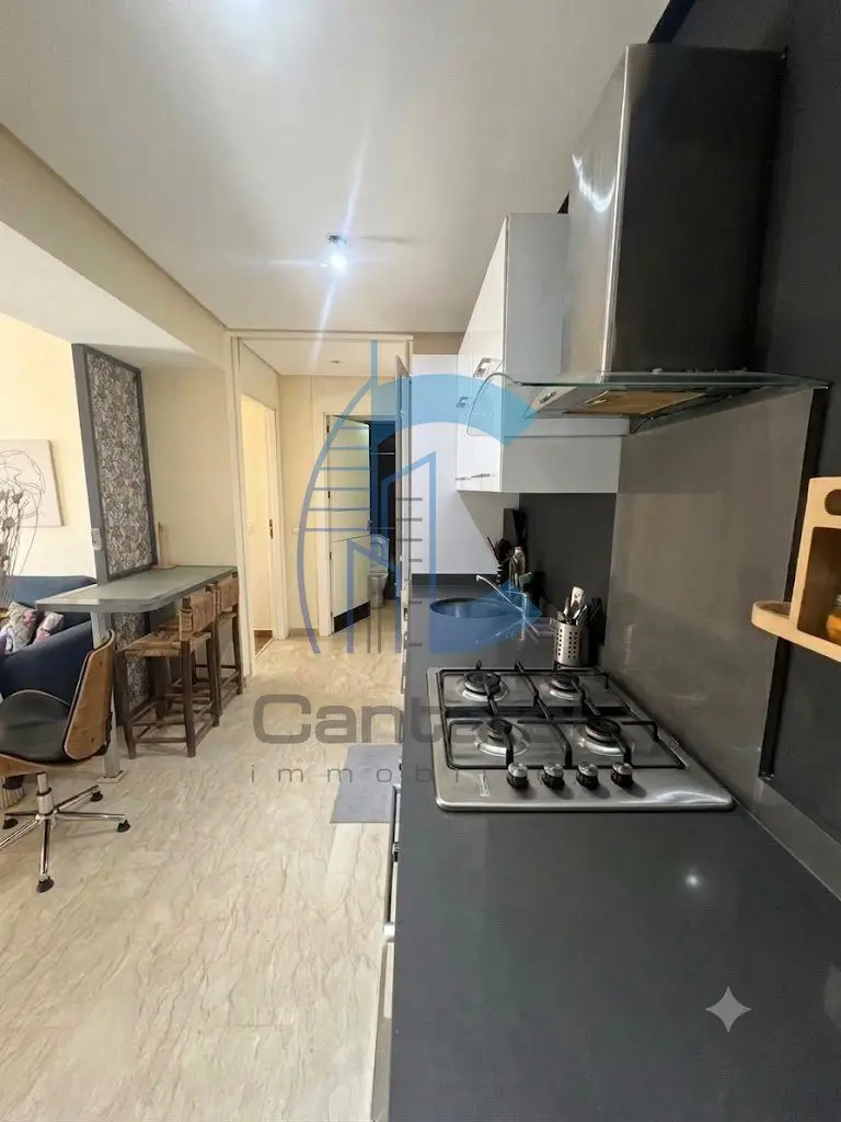 استوديو مفروش للإيجار غوتييه - detail.photo 9