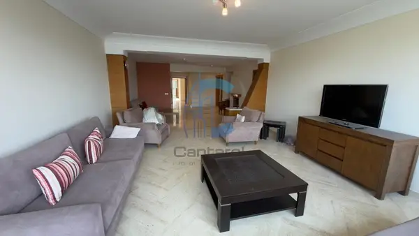 LOCATION MAGNIFIQUE APPARTEMENT PALMIER