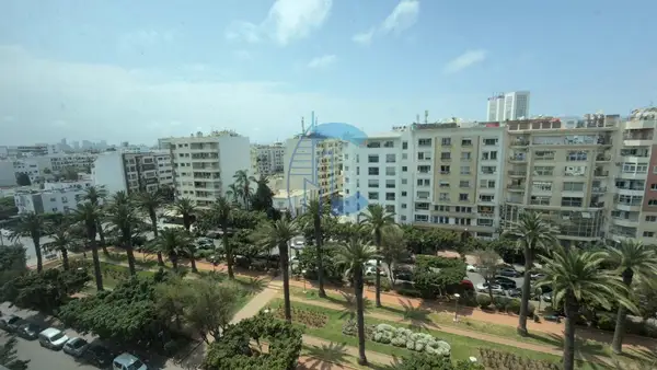 LOCATION MAGNIFIQUE APPARTEMENT PALMIER