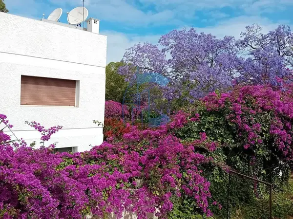 Bien d'exception à l'oasis -deux appts  en vente - Photo 2