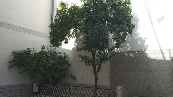 Maison 4 chambres à vendre à Sidi Boujida — 1 800 000 DH - Photo 4