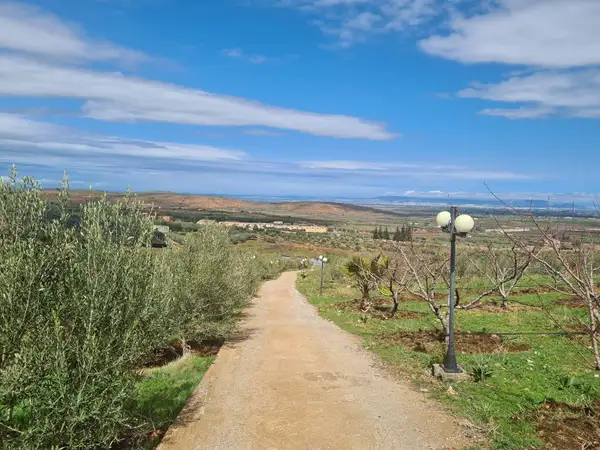 Ferme à vendre à Aïn Chifa — 2 900 000 DH - Photo 2