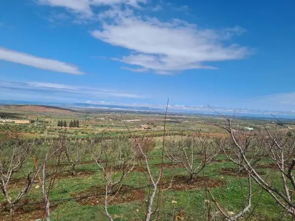 Ferme à vendre à Aïn Chifa — 2 900 000 DH - Photo 3