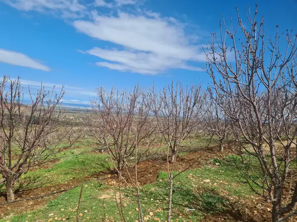 Ferme à vendre à Aïn Chifa — 2 900 000 DH - Photo 6