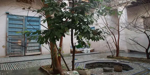 Maison 5 chambres à vendre à Fès — 1 600 000 DH - Photo 4