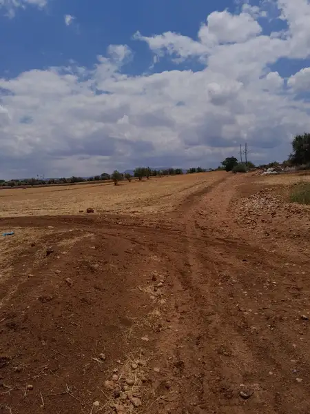 Ferme à vendre à Route d'Imouzzer — 10 000 000 DH - Photo 1