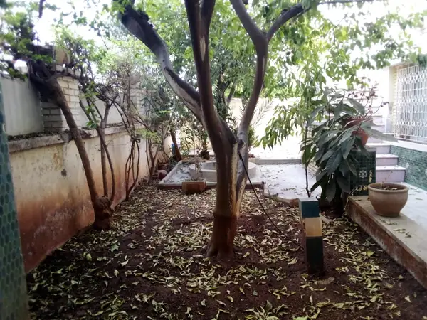 Villa 8 chambres à vendre à Fès — 3 000 000 DH - Photo 4