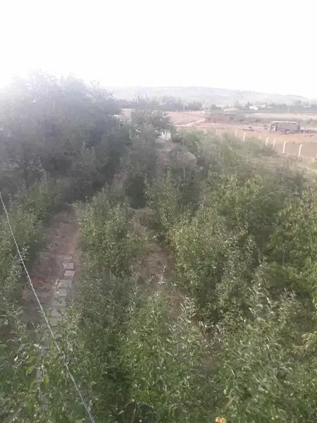 Ferme 6 chambres à vendre à Ifrane — 2 800 000 DH - Photo 10