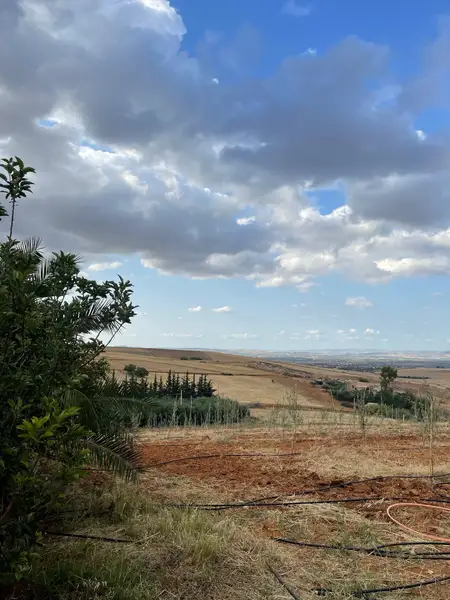 Ferme à vendre à Fès — 6 000 000 DH - Photo 5
