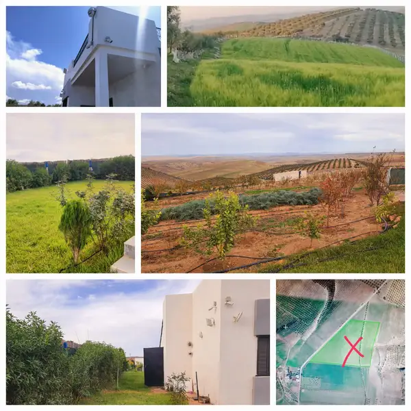 Ferme à vendre à Route de Sefrou — 2 400 000 DH - Photo 4