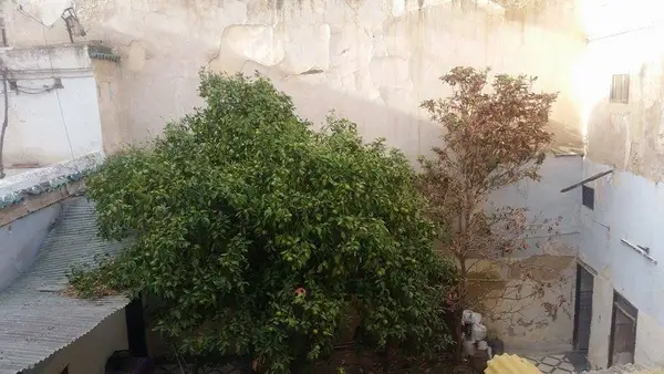 Maison 7 chambres à vendre à Fès — 1 800 000 DH - Photo 6