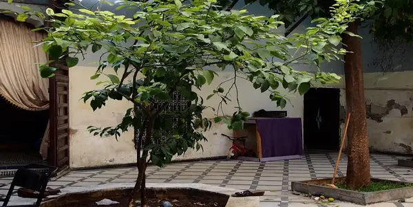 Maison 7 chambres à vendre à Fès — 1 800 000 DH - Photo 12