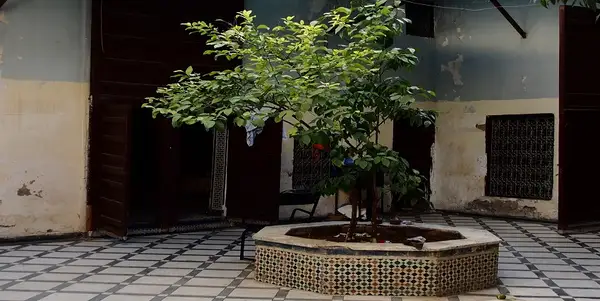 Maison 7 chambres à vendre à Fès — 1 800 000 DH - Photo 7