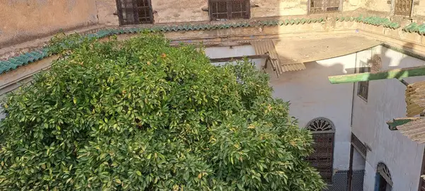 Maison 8 chambres à vendre à Bab Jdid — 3 200 000 DH - Photo 6