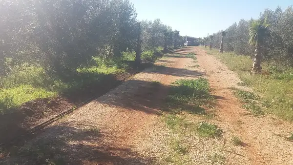 Ferme à vendre à Aïn Lbida — 18 500 000 DH - Photo 1