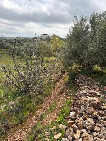 Ferme à vendre à Sefrou — 4 500 000 DH - Photo 6