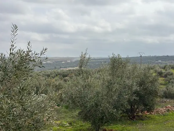 Ferme à vendre à Sefrou — 4 500 000 DH - Photo 12