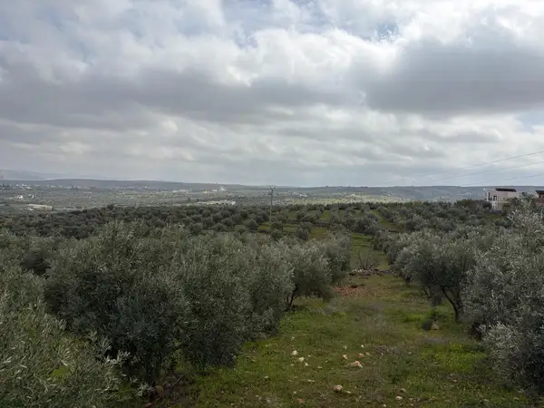 Ferme à vendre à Sefrou — 4 500 000 DH - Photo 18